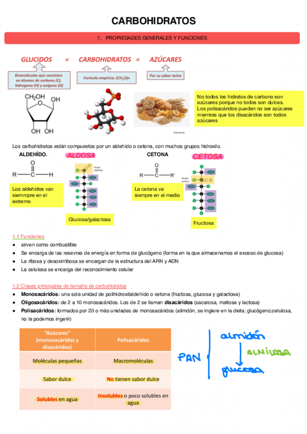 Miniatura del documento Carbohidratos-3.pdf