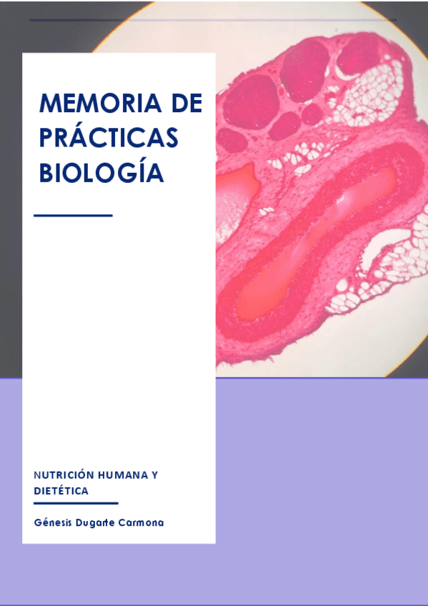 Miniatura del documento Memoria-de-practicas.pdf