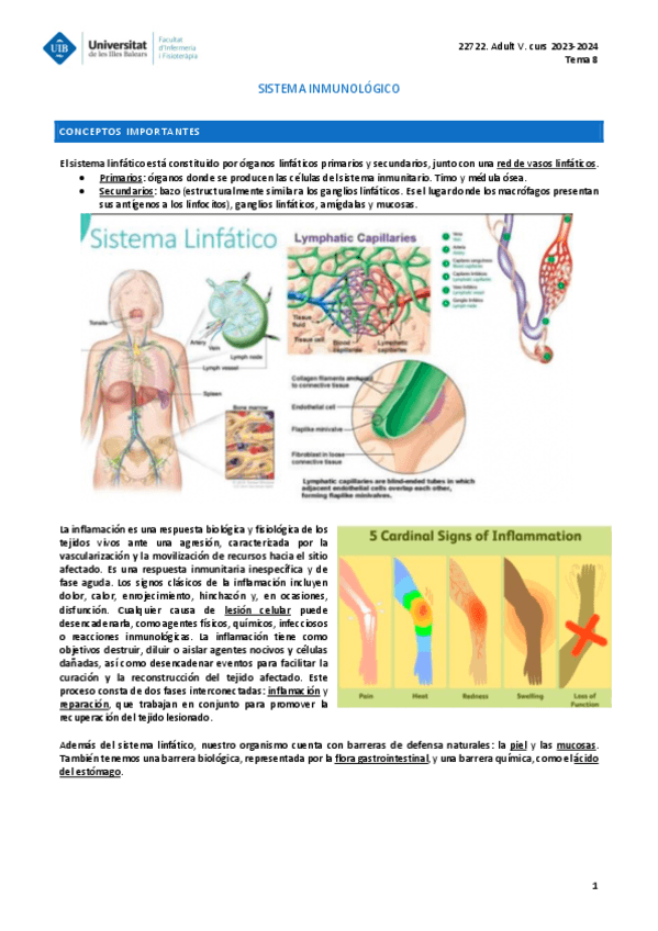 Miniatura del documento ADULT-V-TEMA-8.pdf