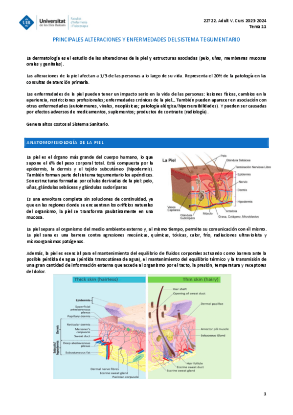Miniatura del documento ADULT-V-TEMA-11.pdf