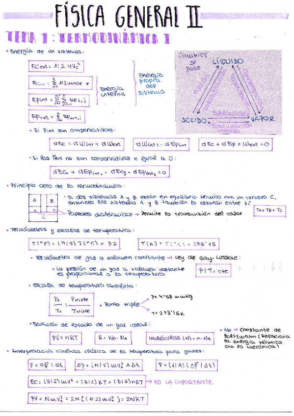 Miniatura del documento Formulario-PEC-1-T1-T5.pdf