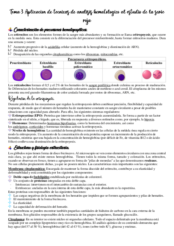 Miniatura del documento Tema-3-Aplicacion-de-tecnicas-de-analisis-hematologico-al-estudio-de-serie-roja.pdf