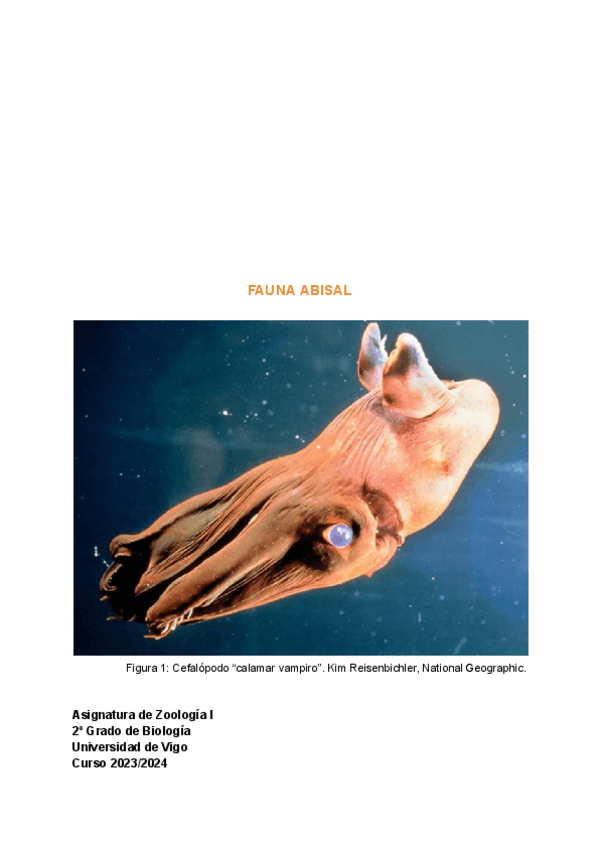 Miniatura del documento Trabajo-zoologia2023Faunaabisal.pdf