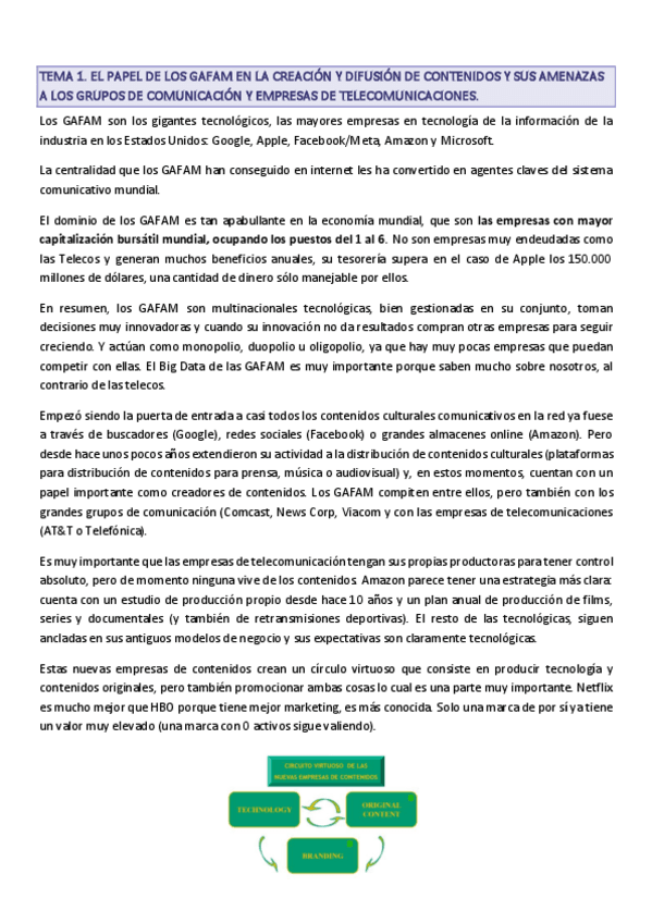 Miniatura del documento Tema-1-y-2.-Los-grandes-grupos-de-Internet.pdf