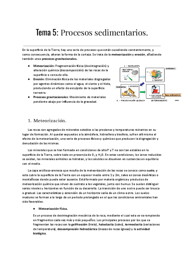 Miniatura del documento Tema-5-Procesos-sedimentarios-Documentos-de-Google.pdf