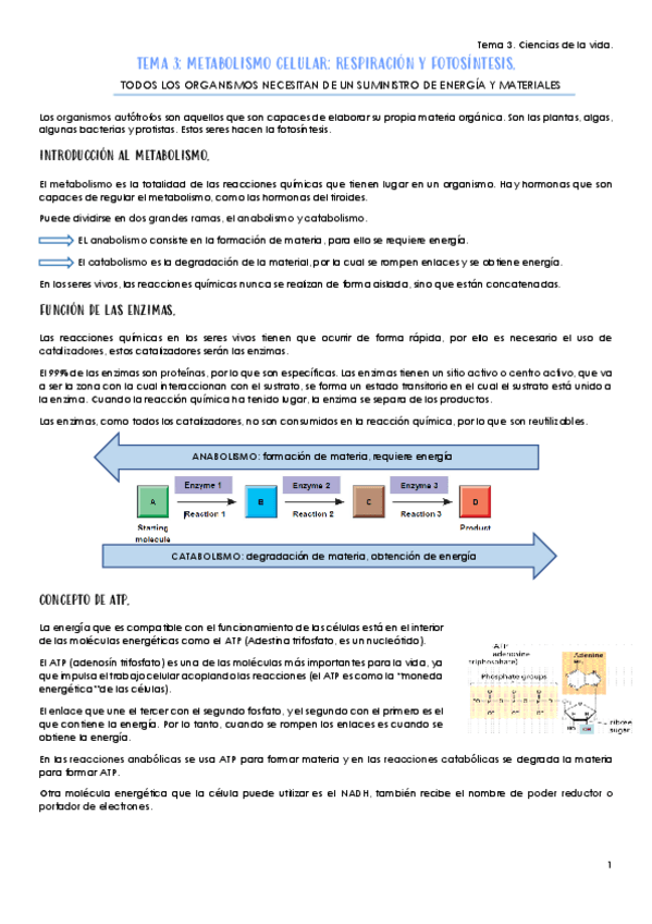 Miniatura del documento Tema-3.-El-metabolismo.pdf