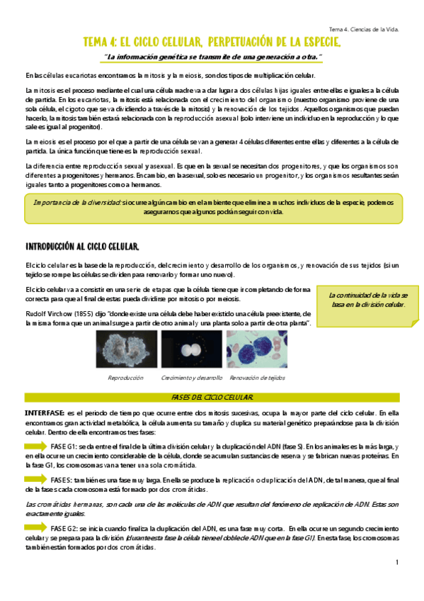 Miniatura del documento TEMA-4.-CICLO-CELULAR.pdf