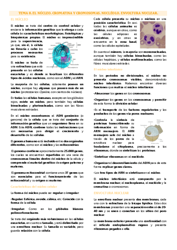Miniatura del documento Tema 8 biología celular, el núcleo.pdf