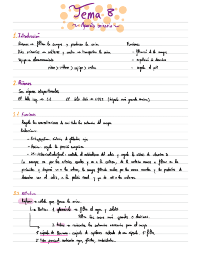 Miniatura del documento Apuntes-Anatomia-T8.pdf