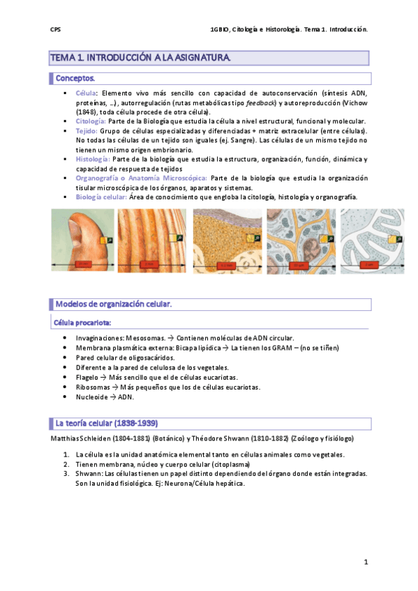 Miniatura del documento tema-1.-introduccion-a-la-asignatur.pdf