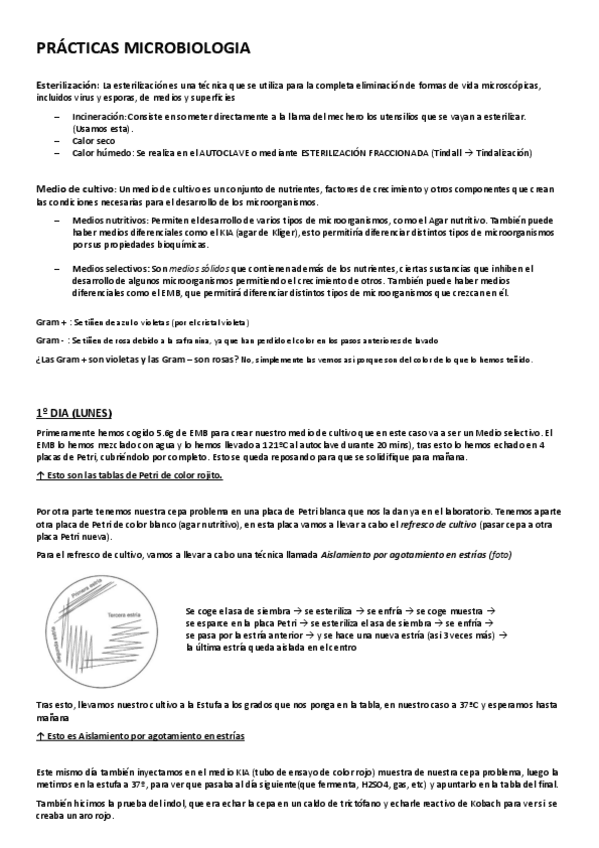 Miniatura del documento PRACTICAS-MICROBIOLOGIA.pdf