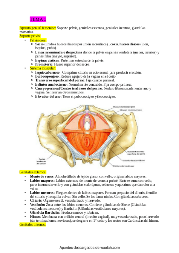 Miniatura del documento 5123472a698c4-6116-4ee9-ad59-95c9a35b4d56.pdf