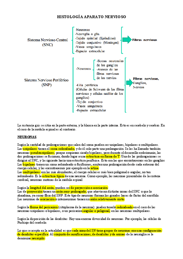 Miniatura del documento histología nervioso.pdf