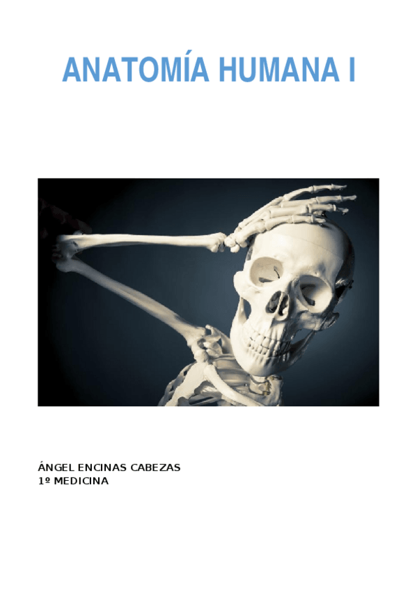 Miniatura del documento ANATOMÍA YO.docx