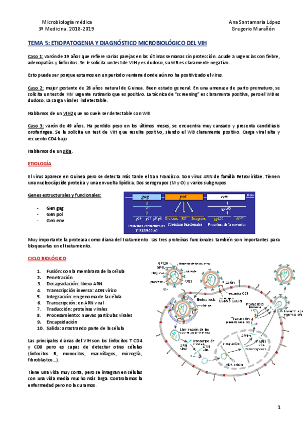 Miniatura del documento Tema 5 - VIH.pdf
