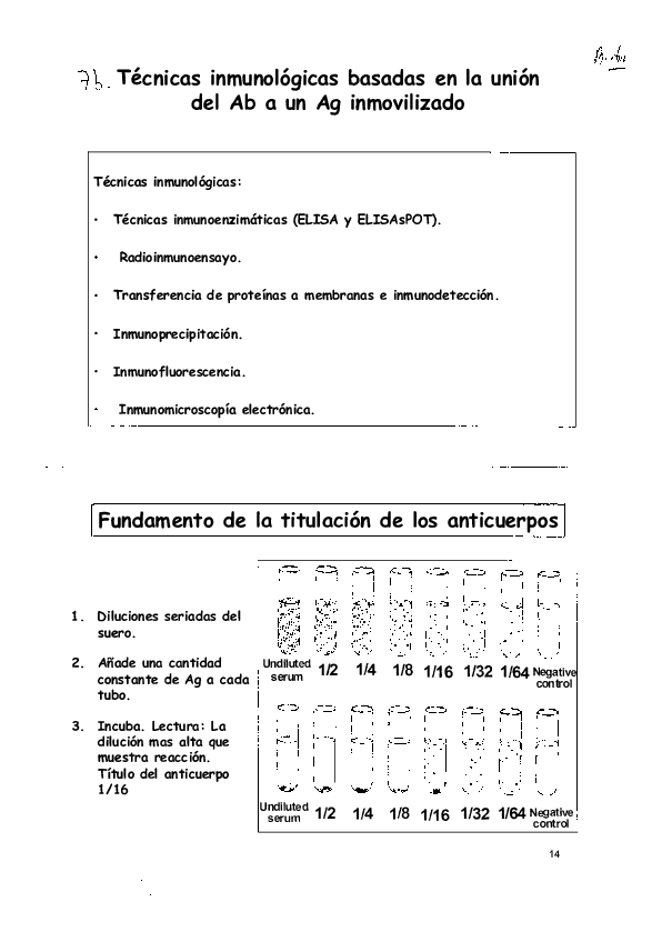 Miniatura del documento Tema 8b - Técnicas inmunológicas basadas en la unión del Ab a un Ag inmovilizado.PDF