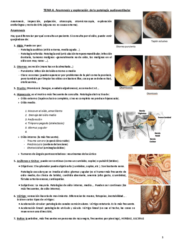 Miniatura del documento Tema 4. Anamnesis y exploración del oido copia.pdf