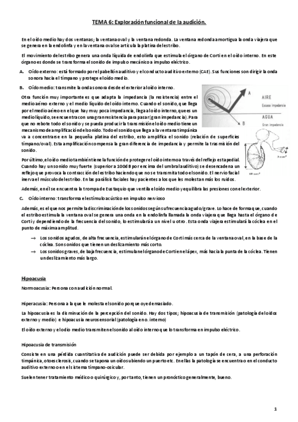 Miniatura del documento Tema 6. Exploración de la audición.pdf