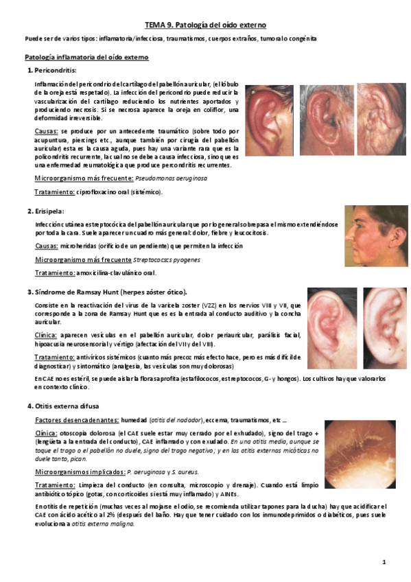 Miniatura del documento Tema 8. Patología del oído externo.pdf