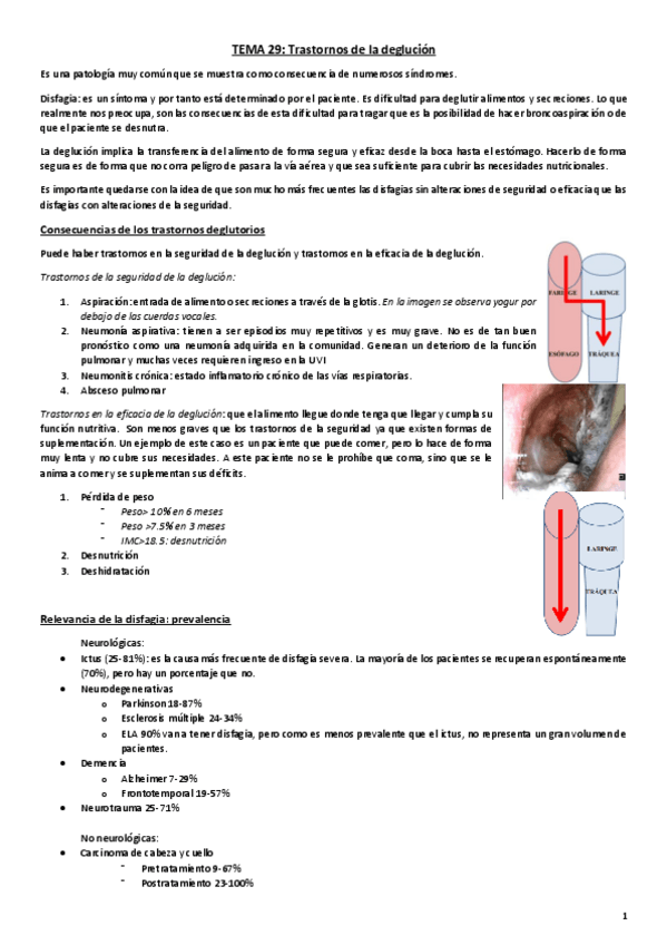 Miniatura del documento Tema 30. Trastornos deglución.pdf