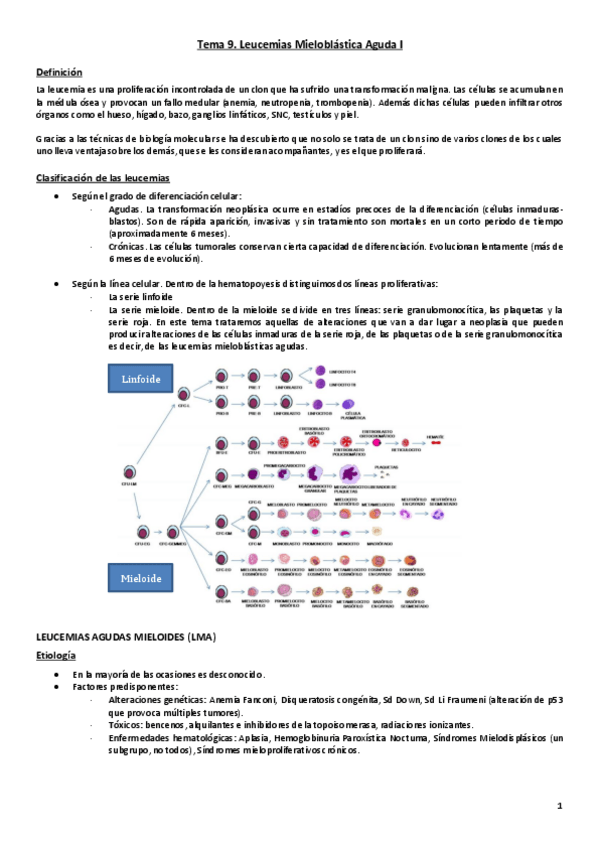 Miniatura del documento Tema 9a. Leucemias.pdf
