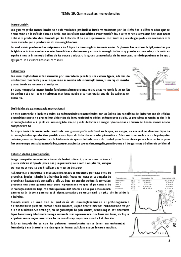 Miniatura del documento Tema 19. Gammapatías monoclonales.pdf