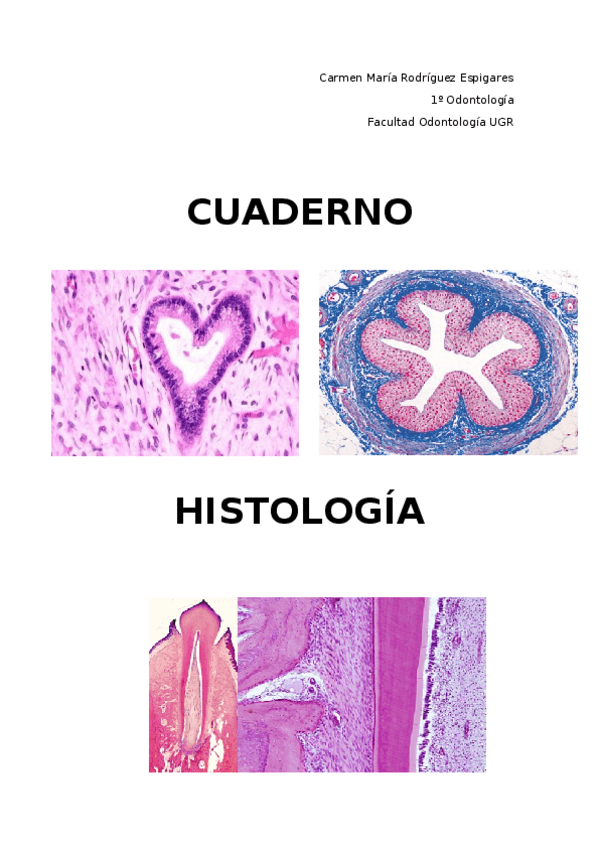 Miniatura del documento CUADERNO HISTOLOGÍA.docx