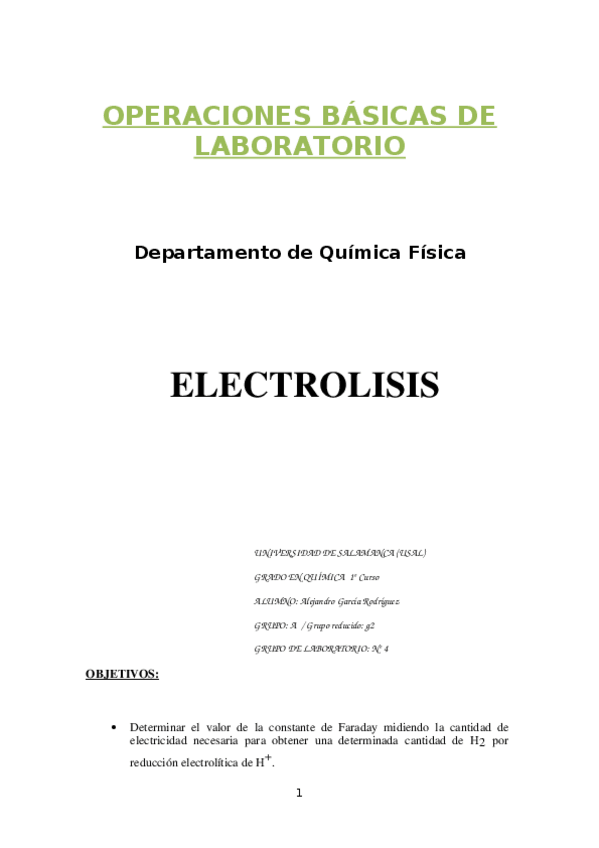 Miniatura del documento faraday.docx