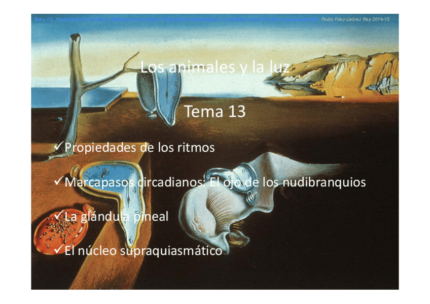 Miniatura del documento Tema 13.pdf