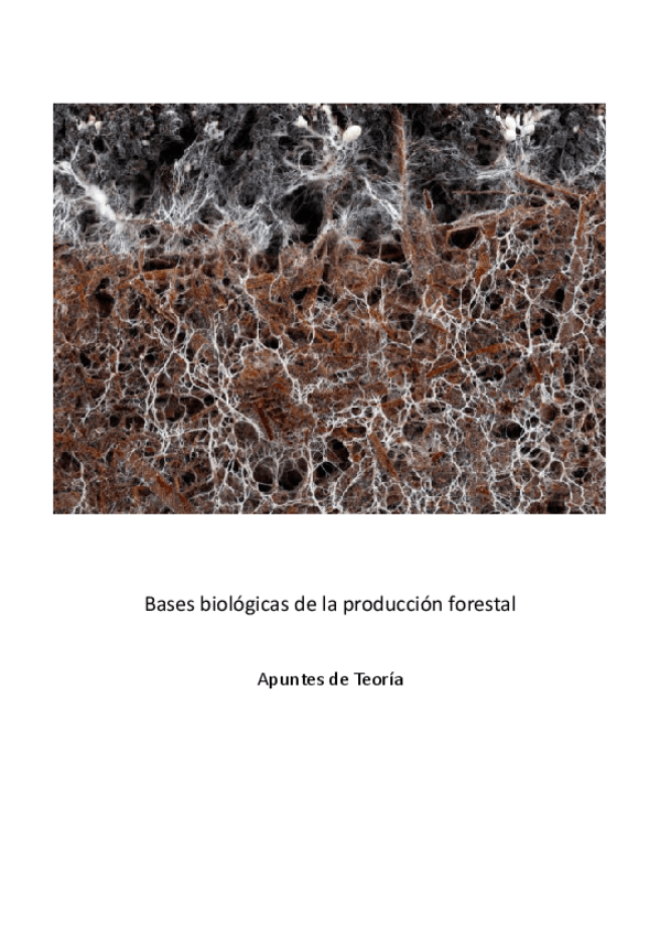 Miniatura del documento Biologia-Apuntes-T16.pdf