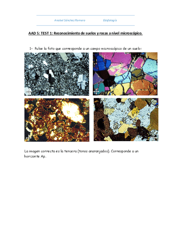 Miniatura del documento AAD 5 (AUTOEVALUABLE).pdf