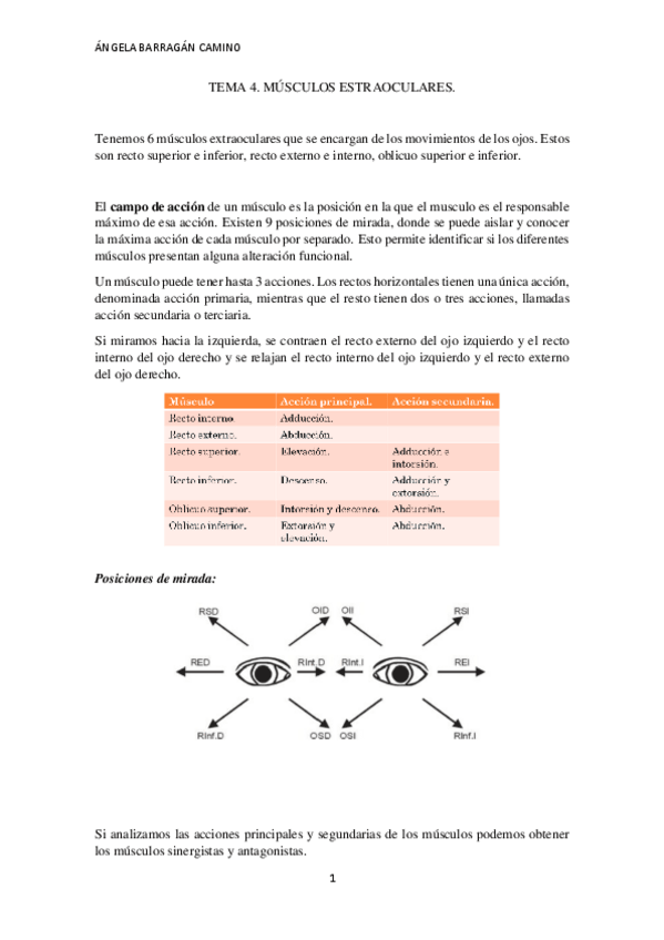 Miniatura del documento TEMA 4. MUSCULOS EXTRAOCULARES.pdf