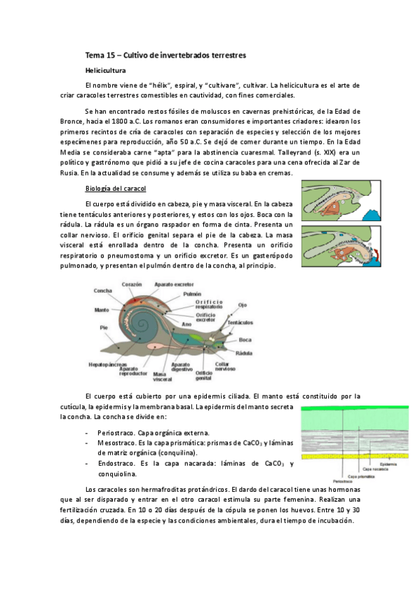 Miniatura del documento Tema 15.pdf