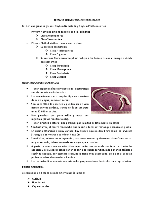 Miniatura del documento tema 13 generalidades.pdf