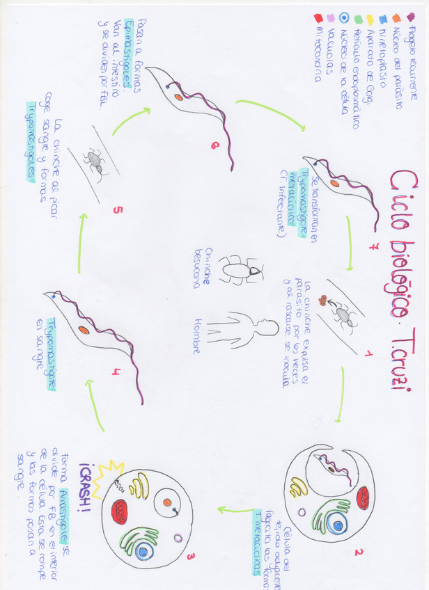 Miniatura del documento img362.jpg