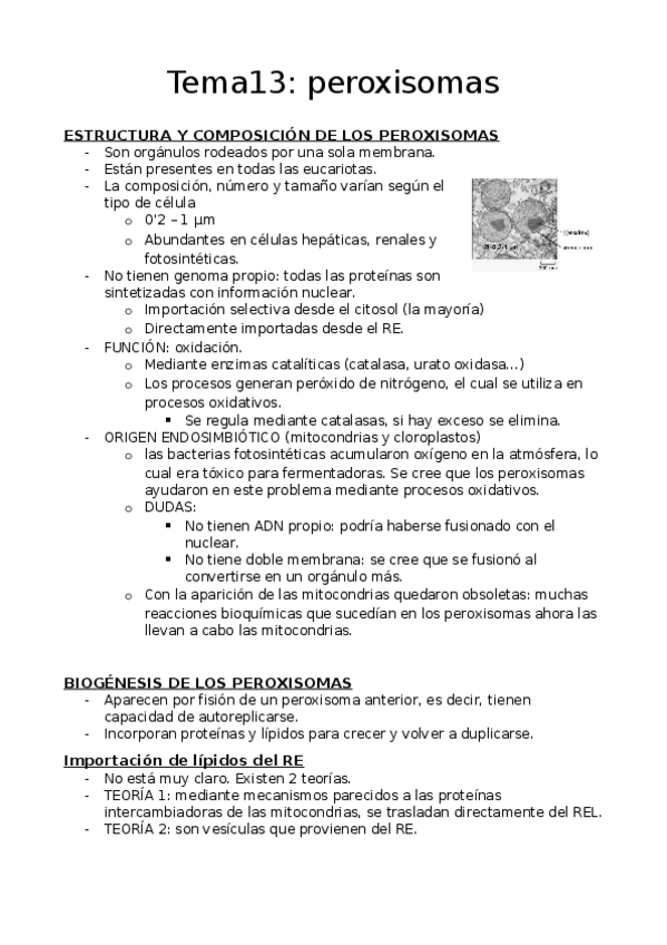 Miniatura del documento Tema13 apuntes.docx