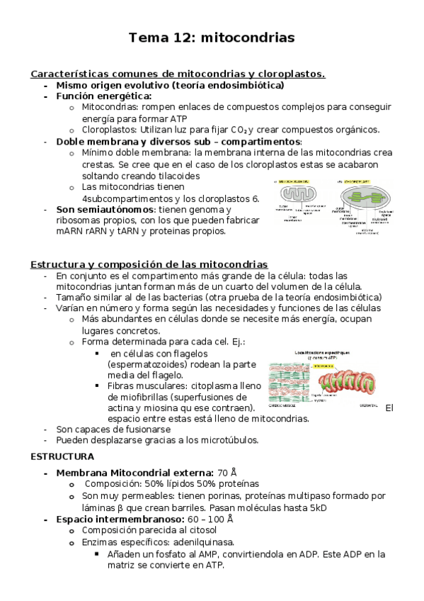 Miniatura del documento TEMA12 apuntes.docx
