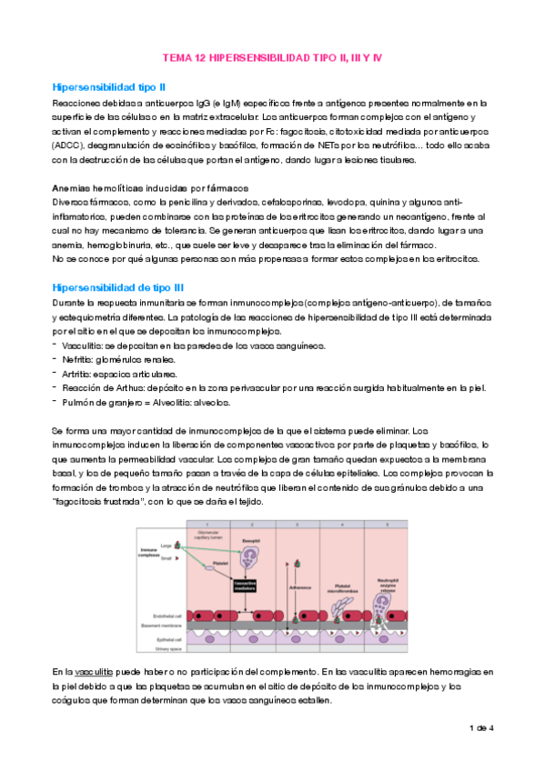 Miniatura del documento T12 Hipersensibilidad II- III, IV.pdf