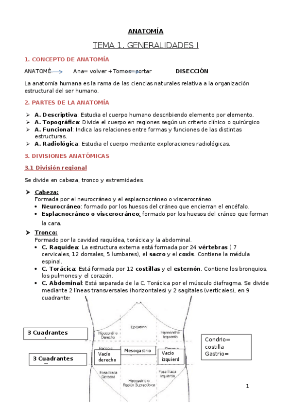 Miniatura del documento TEMA 1.docx