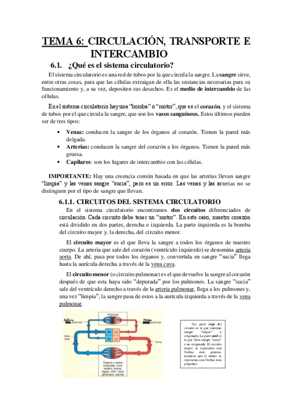 Miniatura del documento TEMA 6.pdf