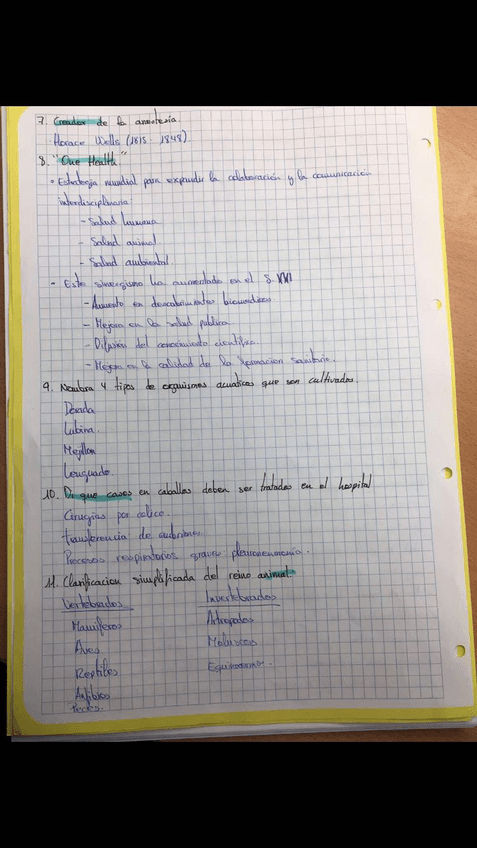 Miniatura del documento a0e9165e-865d-446b-becc-89144cf28768.JPG