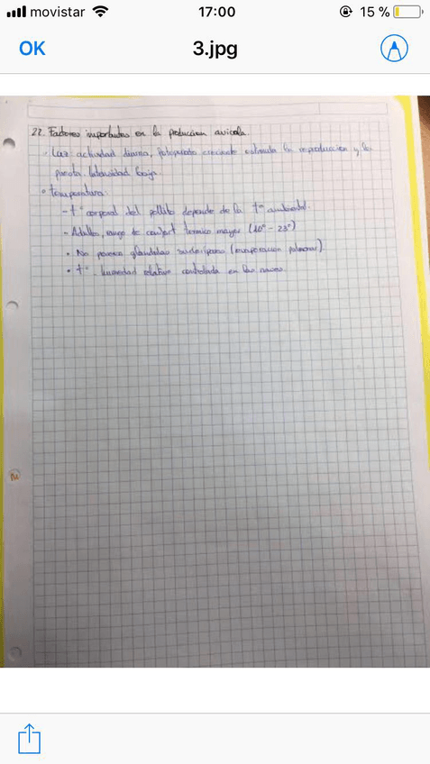 Miniatura del documento 8755171b-f560-4813-a093-7b102fe36c97.JPG