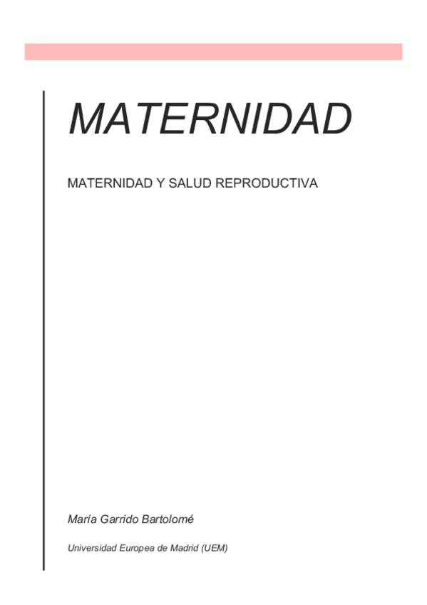 Miniatura del documento Maternidad.pdf