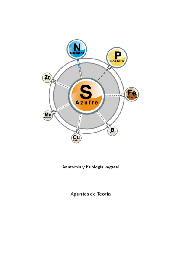 Miniatura del documento Anatomia-y-Fisologia-Vegetal-Nutricion mineral-Apuntes-T7-version-2.pdf
