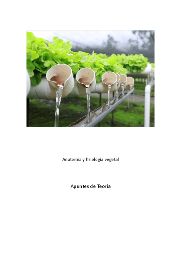 Miniatura del documento Anatomia-y-Fisologia-Vegetal-Trasporte iones -Apuntes-T8.pdf