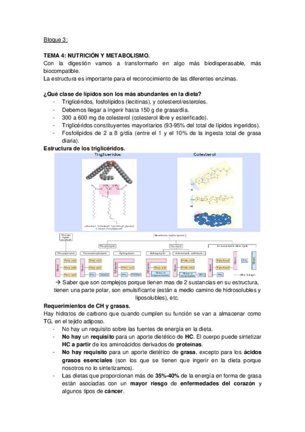 Miniatura del documento TEMA 4 ACEITES Y GRASAS.docx