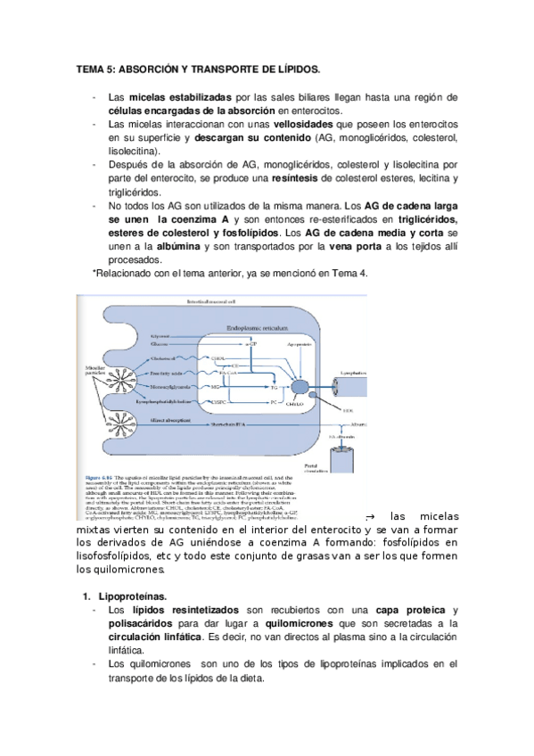 Miniatura del documento TEMA 5 ACEITES Y GRASAS.docx