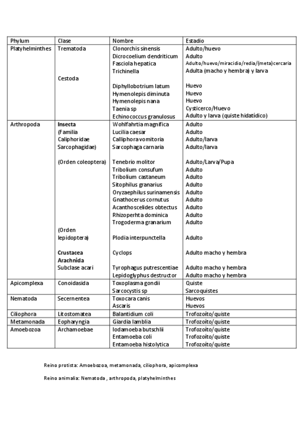 Miniatura del documento Practicas para.pdf