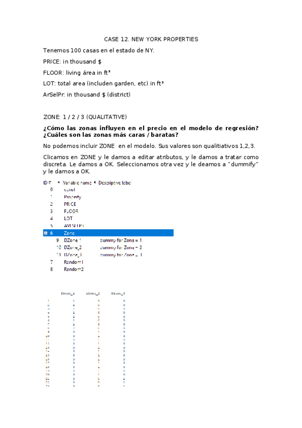 Miniatura del documento CASE 12. NY PROPERTIES.docx