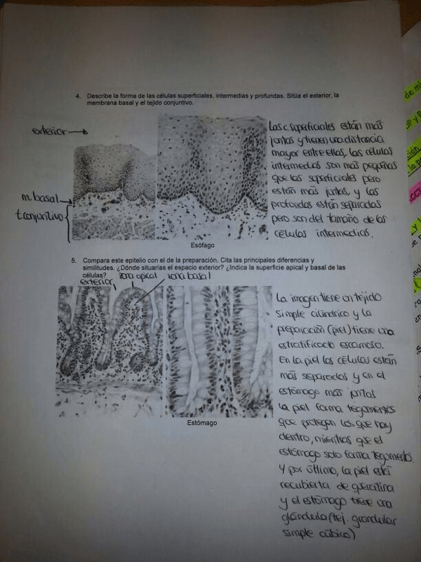 Miniatura del documento wuolah-free-IMG-20131115-WA0036.jpg